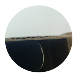 1764148729933508.jpg E-flute.jpg